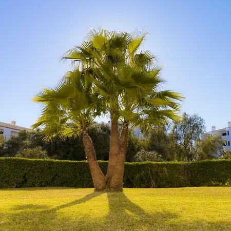 Yangmar By Alzira Apartment Albufeira Exterior photo